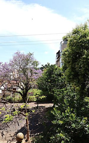 Casa à venda com 400m², 4 quartos e 2 vagasVista da Rua Quarto 2