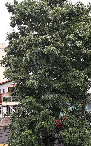 Apartamento à venda com 170m², 3 quartos e 2 vagasVista da Sacada