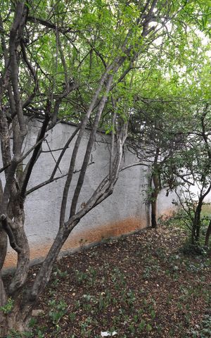 Casa à venda com 357m², 3 quartos e sem vagaJardim