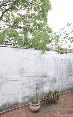 Casa à venda com 357m², 3 quartos e sem vagaVista do Quarto 3