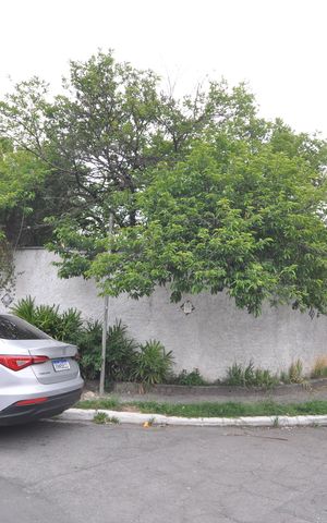 Casa à venda com 357m², 3 quartos e sem vagaFachada