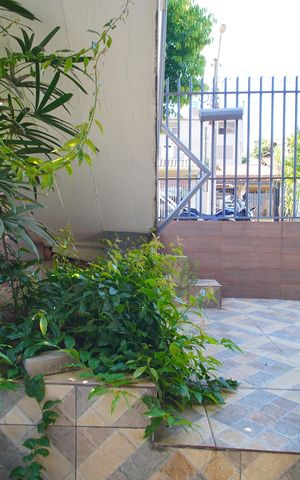 Casa à venda com 229m², 5 quartos e 3 vagasvista do Quarto 5