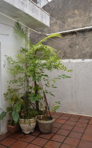 Casa à venda com 99m², 2 quartos e 1 vagaQuintal
