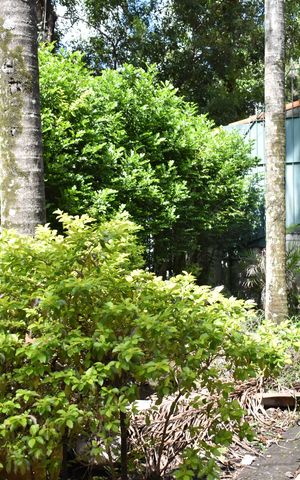 Casa à venda com 280m², 6 quartos e 1 vagaJardim