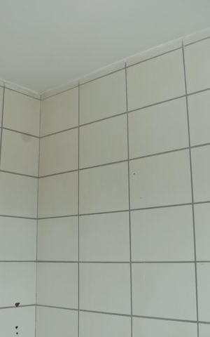 Apartamento para alugar com 49m², 2 quartos e 1 vagaBanheiro Social