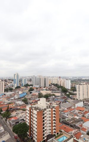 Apartamento para alugar com 440m², 5 quartos e 5 vagasVista da Varanda da Sala