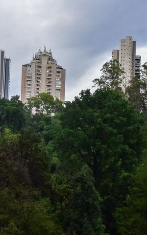 Apartamento para alugar com 296m², 3 quartos e 4 vagasVista do Quarto 1
