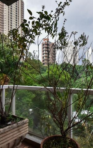 Apartamento para alugar com 296m², 3 quartos e 4 vagasVaranda da Suíte 
