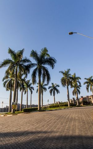 Apartamento à venda com 647m², 3 quartos e 4 vagasEntrada