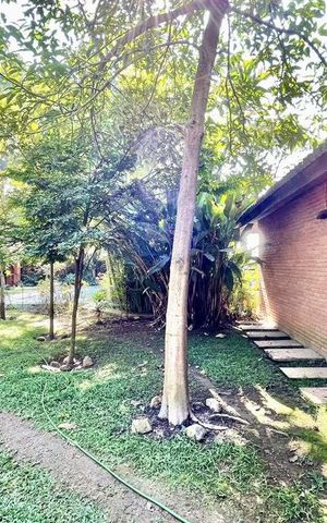Casa para alugar com 923m², 5 quartos e 10 vagas