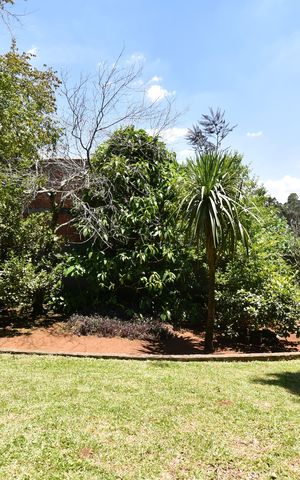 Casa à venda com 100m², 2 quartos e sem vagaÁrea externa - Jardim