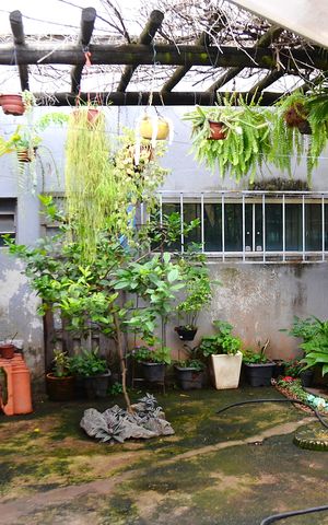 Casa à venda com 200m², 5 quartos e 5 vagasQuintal