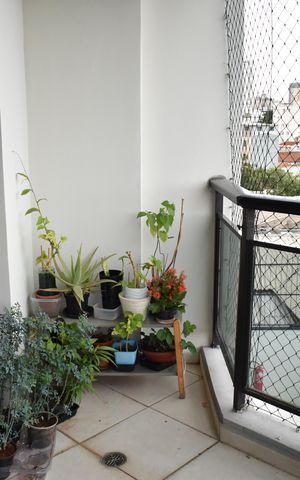 Apartamento para alugar com 145m², 3 quartos e 2 vagasSacada Sala