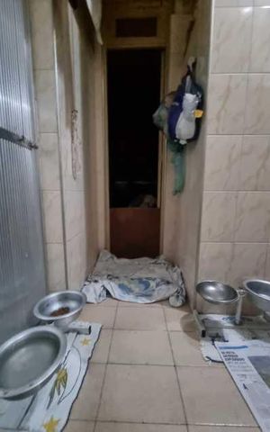 Apartamento à venda com 130m², 3 quartos e 1 vaga