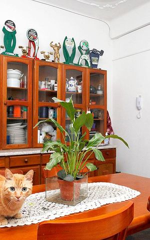 Apartamento à venda com 106m², 3 quartos e sem vagaSala