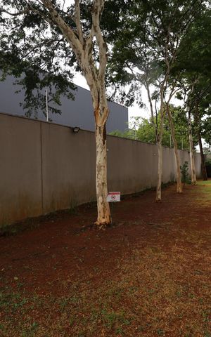 Apartamento à venda com 88m², 3 quartos e 2 vagasÁrea comum