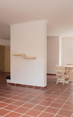Apartamento à venda com 67m², 2 quartos e 1 vagaÁrea comum - Salão de festas