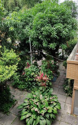 Casa à venda com 200m², 3 quartos e 2 vagas Casa à venda com 200m², 3 quartos e 2 vagasQuintal