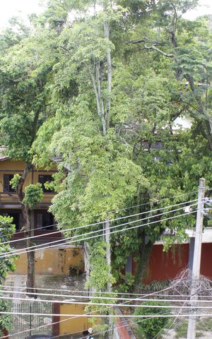 Casa à venda com 540m², 6 quartos e 5 vagasVista do Quarto 1