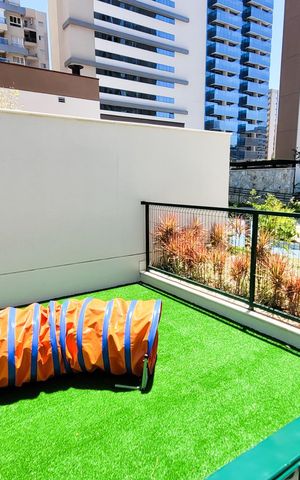 Apartamento para alugar com 57m², 1 quarto e 1 vagaPet Place