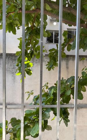 Apartamento para alugar com 90m², 2 quartos e 1 vaga Apartamento para alugar com 90m², 2 quartos e 1 vagaVista