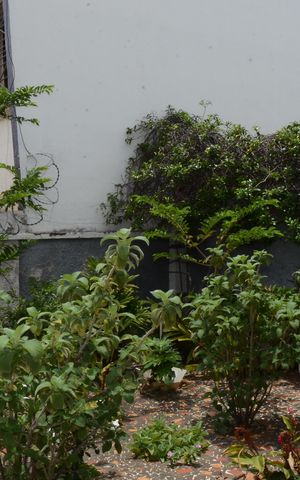 Casa à venda com 300m², 4 quartos e 3 vagasQuintal