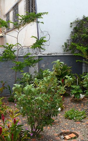 Casa à venda com 300m², 4 quartos e 3 vagasQuintal