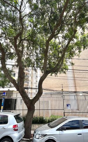 Apartamento à venda com 33m², 2 quartos e sem vaga Apartamento à venda com 33m², 2 quartos e sem vagaFachada