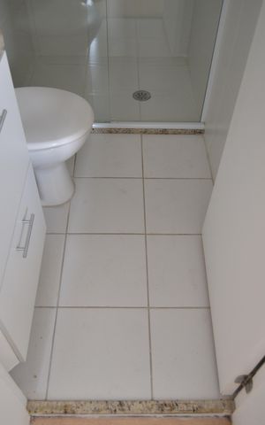 Apartamento à venda com 66m², 3 quartos e 1 vagaBanheiro Social