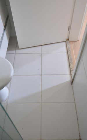Apartamento à venda com 66m², 3 quartos e 1 vagaBanheiro da Suíte
