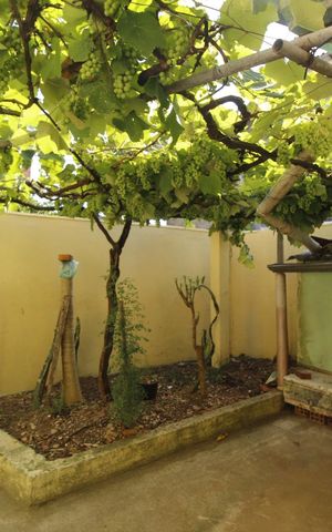 Casa à venda com 250m², 6 quartos e 2 vagasQuintal