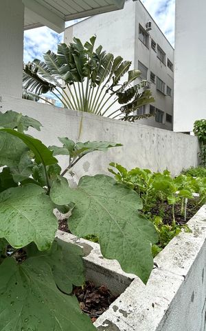 Apartamento para alugar com 86m², 2 quartos e 1 vaga Apartamento para alugar com 86m², 2 quartos e 1 vagaHorta
