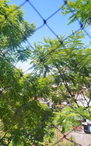 Apartamento à venda com 57m², 2 quartos e 1 vagaVista do Quarto 2