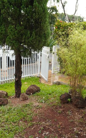 Casa para alugar com 330m², 3 quartos e 2 vagasQuintal