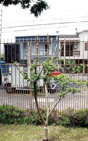 Casa à venda com 175m², 2 quartos e 3 vagasQuarto 1 Vista