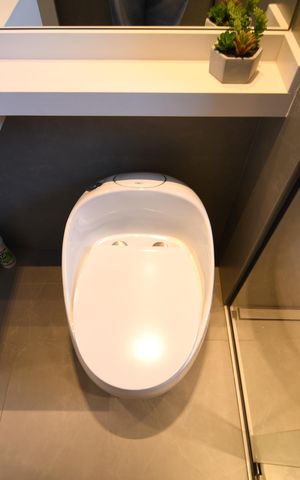 Apartamento à venda com 67m², 2 quartos e 1 vagaBanheiro Suíte