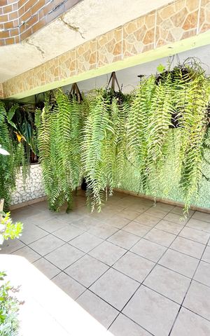 Casa à venda com 120m², 2 quartos e 1 vaga Casa à venda com 120m², 2 quartos e 1 vagaGaragem/Jardim