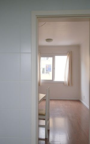 Apartamento para alugar com 52m², 2 quartos e 1 vagaCozinha
