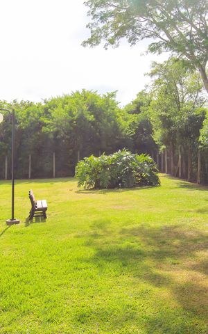 Apartamento à venda com 48m², 2 quartos e 1 vaga Apartamento à venda com 48m², 2 quartos e 1 vagaÁrea comum