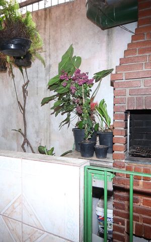 Casa à venda com 172m², 4 quartos e 1 vagaLavanderia - Churrasqueira