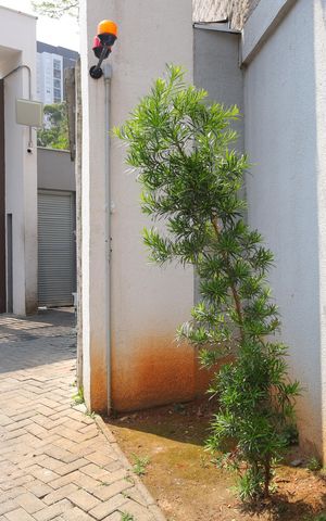 Apartamento à venda com 40m², 2 quartos e sem vaga Placa instalada no muro da fachada- Código da placa IYJT-53