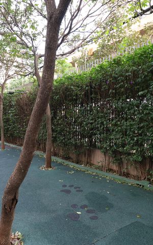 Apartamento para alugar com 40m², 1 quarto e 1 vagaÁrea comum