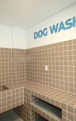Apartamento à venda com 46m², 2 quartos e 1 vagaDog Wash