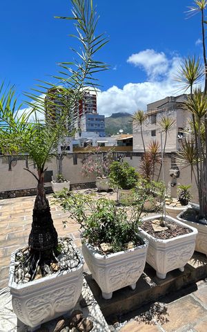 Casa à venda com 900m², 4 quartos e 7 vagasTerraço 1