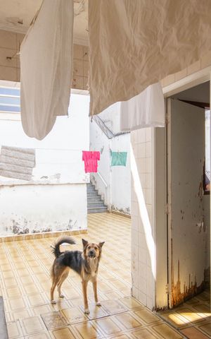 Casa à venda com 165m², 4 quartos e 2 vagas Casa à venda com 165m², 4 quartos e 2 vagasÁrea de Serviço