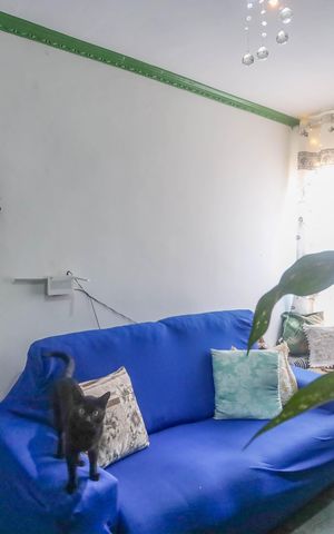 Apartamento à venda com 60m², 2 quartos e sem vaga Apartamento à venda com 60m², 2 quartos e sem vagaSala