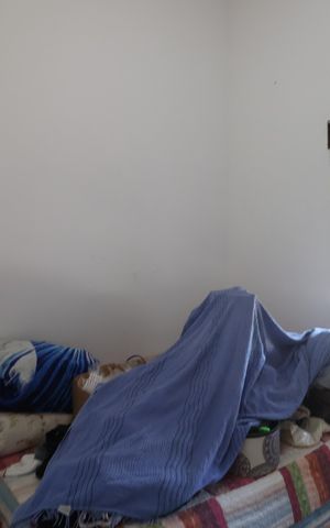 Apartamento para alugar com 52m², 2 quartos e sem vagaQuarto 1