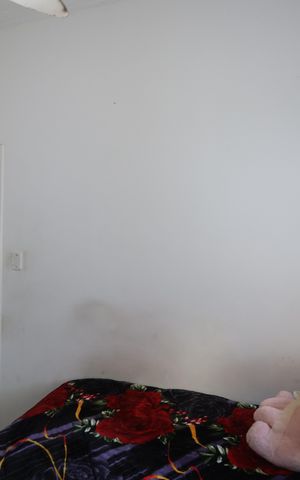 Apartamento para alugar com 52m², 2 quartos e sem vagaQuarto 2