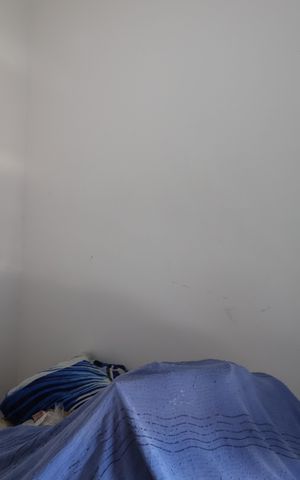 Apartamento para alugar com 52m², 2 quartos e sem vagaQuarto 1