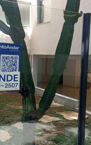 Apartamento à venda com 120m², 3 quartos e 2 vagas Apartamento à venda com 120m², 3 quartos e 2 vagasplaca instalada 28/11/2025 PDHS-39